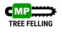 Mp tree felling